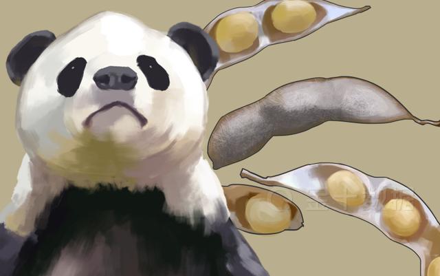 最新：中国买家一周采购超85万吨美豆！阿根廷拟
