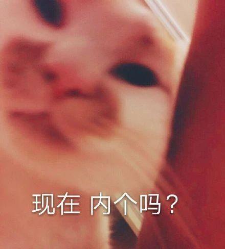 7.24 | 表情包来啦