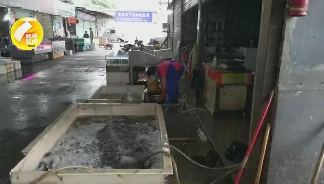 陕视记者走访西安各大水产市场，继续扩大抽样