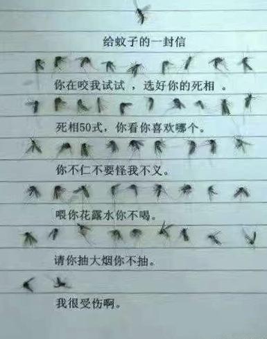 搞笑图片：你们见过苍蝇的26种死法吗？无聊网友