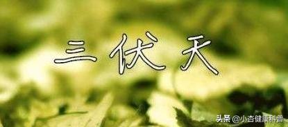 三伏天养生适合吃这三种瓜,虫草都要甘拜下风