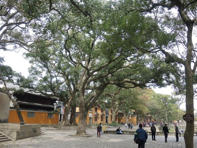 ����������-����ɽ���������ӣ�������