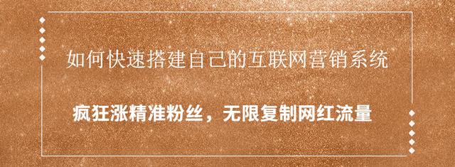 如何快速搭建自己的互联网营销系统，疯狂涨精准粉丝，无限复制网红流量