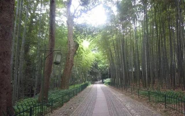 夏日别有“洞”天！杭州的这些避暑“仙境”，超凉快！