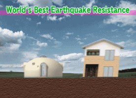 泡沫塑料造的房子竟卖到40多万元，还能轻松扛下