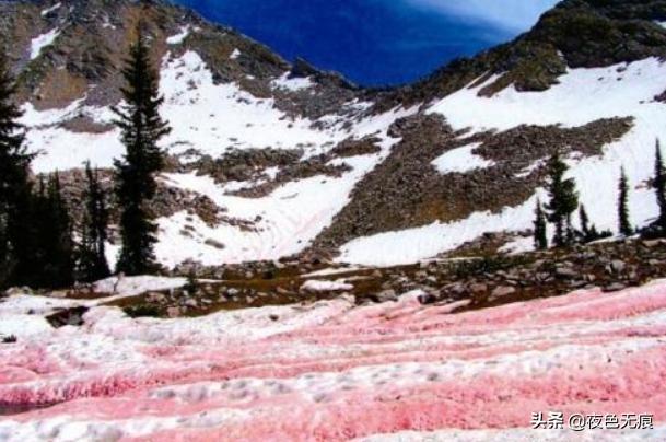 阿尔卑斯山出现粉红雪，美丽如同西瓜冰沙，专家却称是危险信号