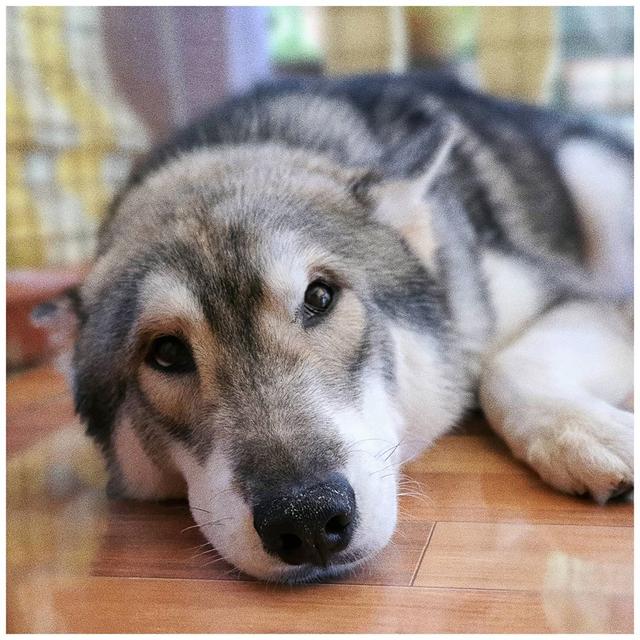 镜头之下的菲律宾，新常态下的民众，各自都找到自己生活的方式