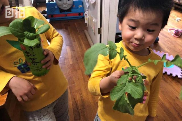 �������������ӣ����ż�����������ƴ������������������������