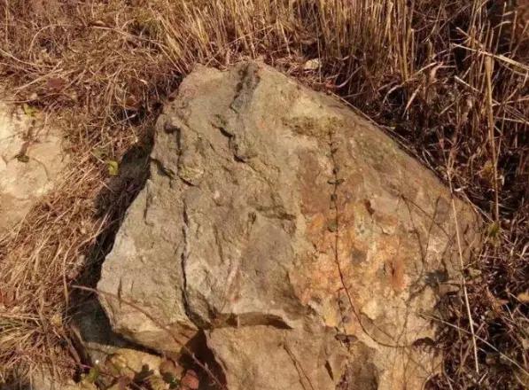 蛇妖吃了一个小孩，结果却看见一块大石头从蛇