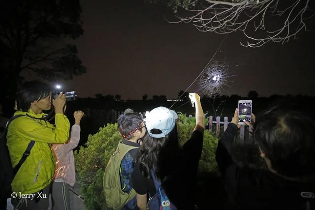 云南的夜探，才是中国夜探活动的王炸