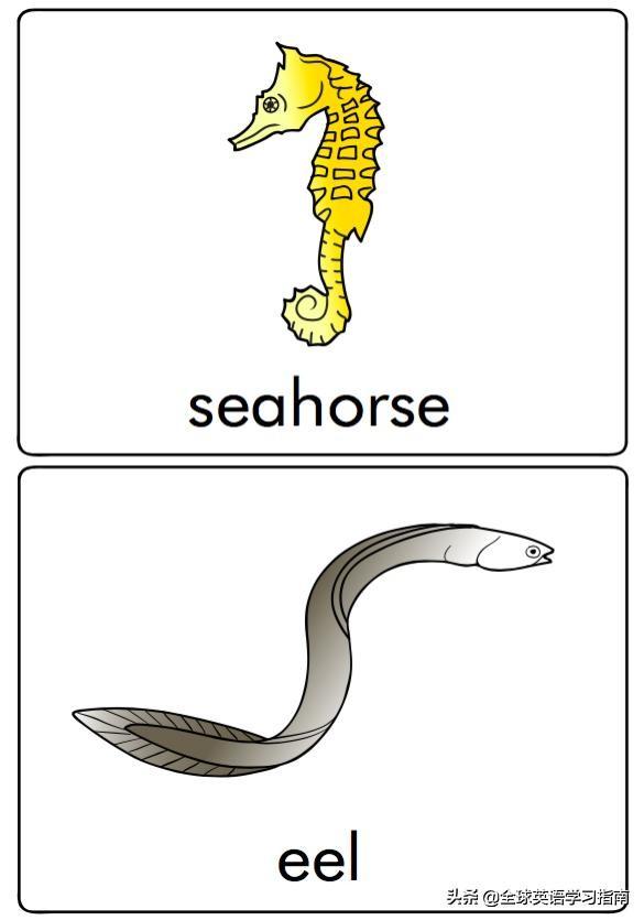 图片[1]-113张图让你记住所有动物类英语单词，分类汇总，建议收藏起来-笑傲英语网