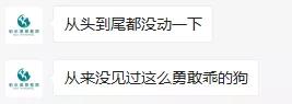 没错，狗也能献血，但被“人”喷闲得慌，说狗不配人的待遇