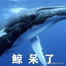 教“现任”撕前任，自己却一键隐身？张铭恩是