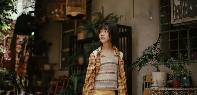 开播仅6天，就被14万网友打出9.0的高分，上半年国产剧王就