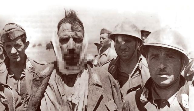 盟军在地中海的反攻，扑向轴心国的哈士奇，如