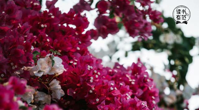 2020最正确的生活方式，请为自己收藏