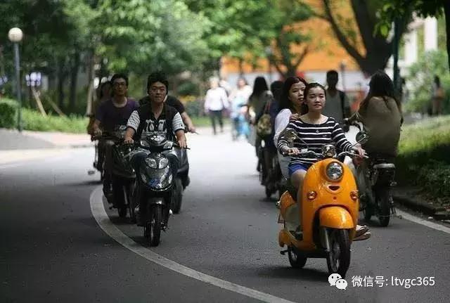 电动车牌照丢了怎么办