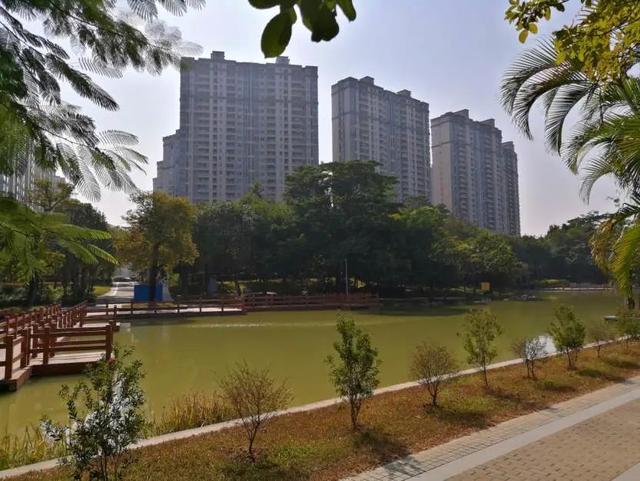 定了！东莞地铁1号线通车时间已公布