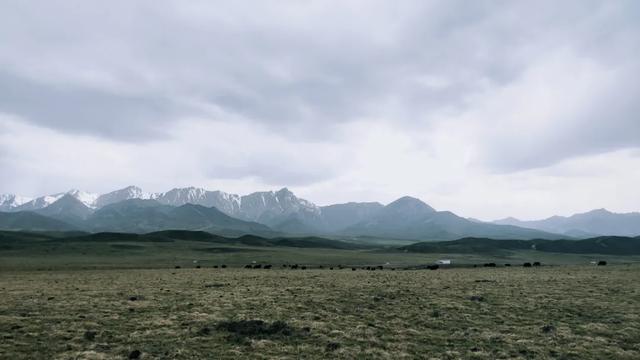 祁连山下的草原警察“黄阿欧”——黄玉虎
