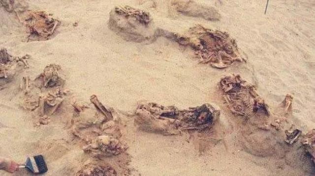 俄罗斯挖出匈奴古墓，墓中仅有的“陪葬品”，