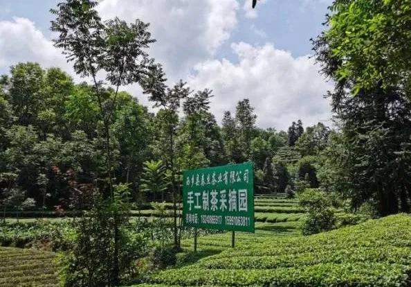 楊凌農(nóng)科，見證小康足跡——2020走出楊凌看示范活動圓滿收官
