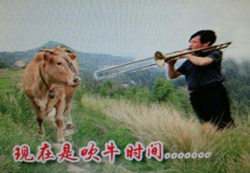 吹茅台比赛开始了