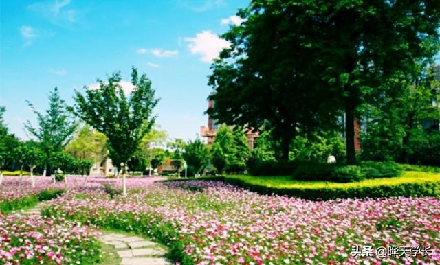 成都中医药大学2019年高考四川省各专业录取分数，2020考生参考下