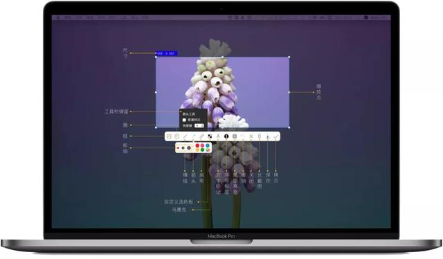 Mac 必备的 15 个 App，让你的 Mac 变得不一样