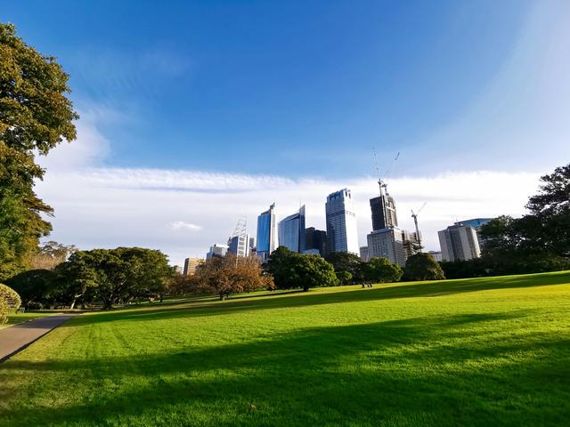 「漫拍悉尼」有阳光的绿色冬天真不错
