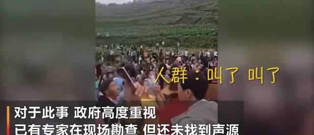 龙吟：贵州山中龙吟为鸟类发出声源 系黄脚三趾鹑发出