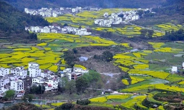 �ɳ������Ĺ�ͨ���������¡������̬��