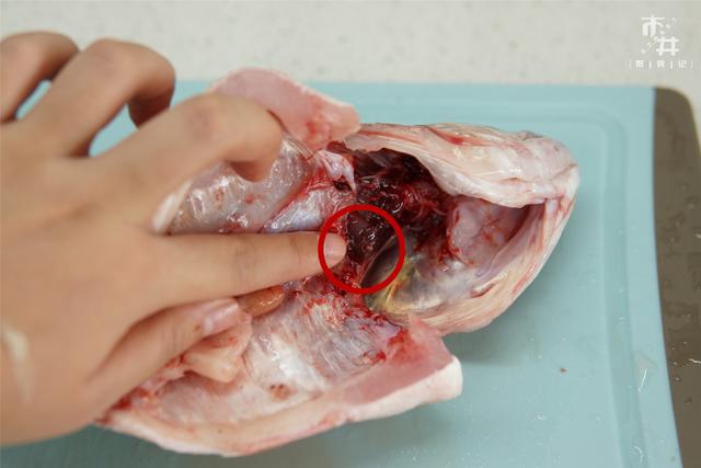 做清蒸鱼，别只会放葱姜，去掉鱼身上这些部位，鱼肉没腥味还鲜嫩