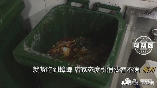 在菜里吃出“油炸蟑螂”，拍视频又惊现活蟑螂