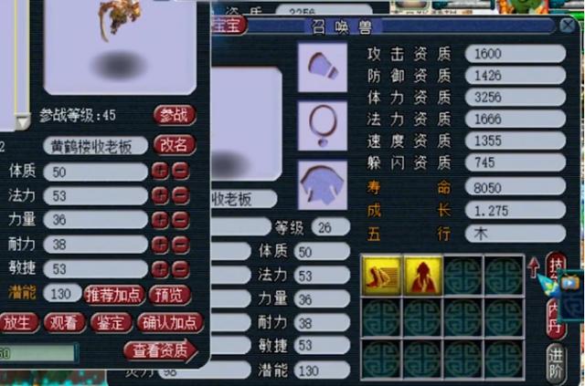 梦幻西游：高资质雷鸟人上书，用“钞能力”维持该有的排面