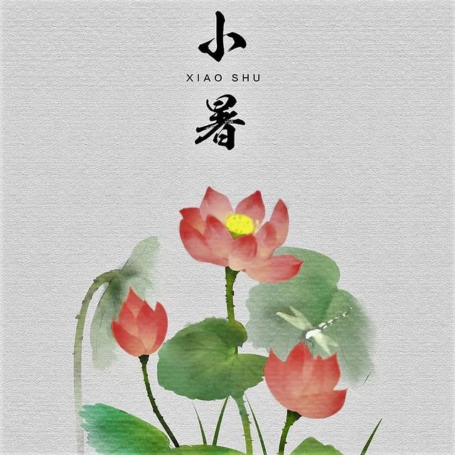 「一波」今日小暑 来一波和小暑有关的唯美图片发朋友圈