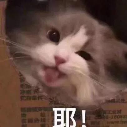 2020年下半场投什么？最好的机会 都给你划好了！