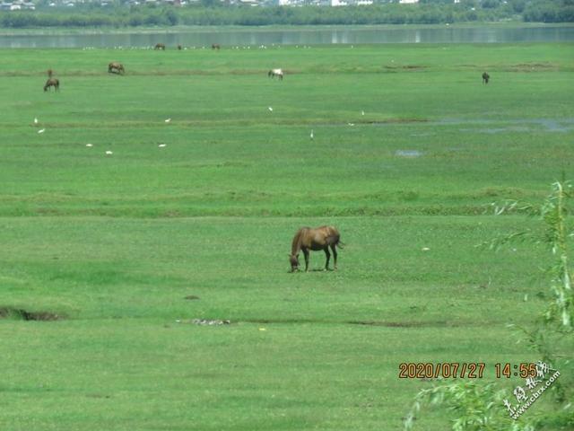 旅游旅行在丽江！人间值得