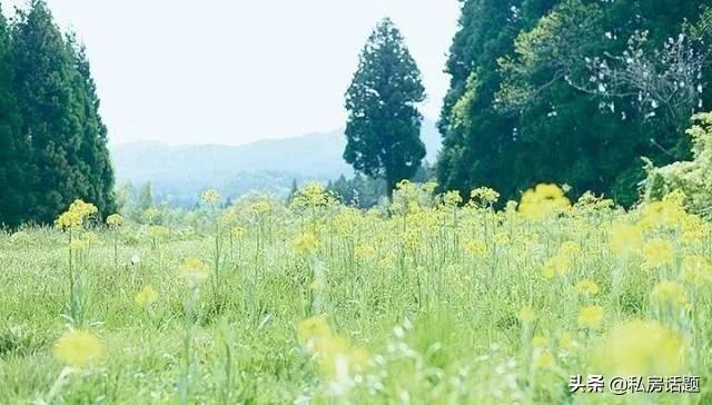 在你特别失落难过的时候，有没有哪一部电视剧或电影，能给你温暖