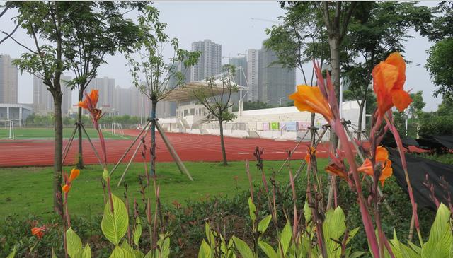 七月复学，武穴中学景色依然！喜迎高一、高二年级学子归来