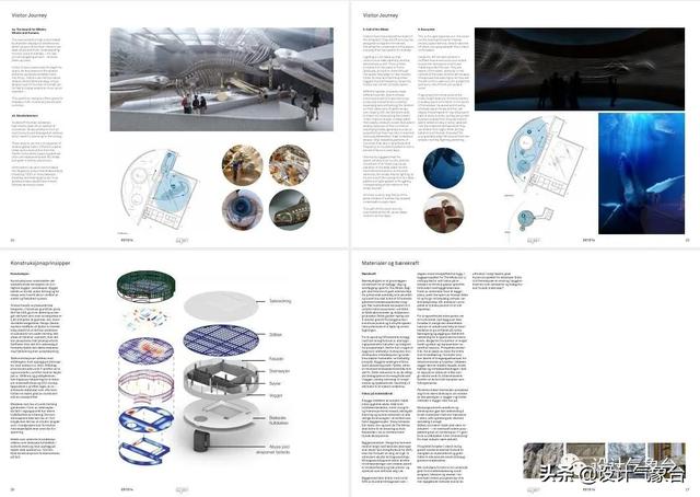 BIG惜败！再牛的方案也比不过一头鲸