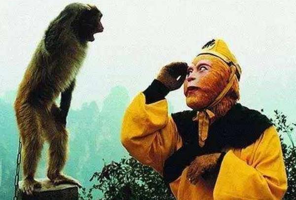 从万人崇拜到“万人嫌弃”，“跌落神坛”的六