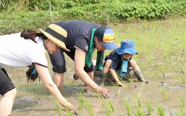 霍启刚过生日仅一个小蛋糕，陪郭晶晶逛日用店
