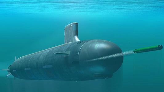 鲸鱼潜入万米深都没事，为什么钢铁打造的潜艇简单被压扁