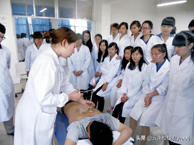云南医药健康职业学院的康复医学系都有哪些专业？