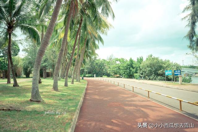 海口市游客印象最好的景点，城市中的天然氧吧，完全免费对外开放