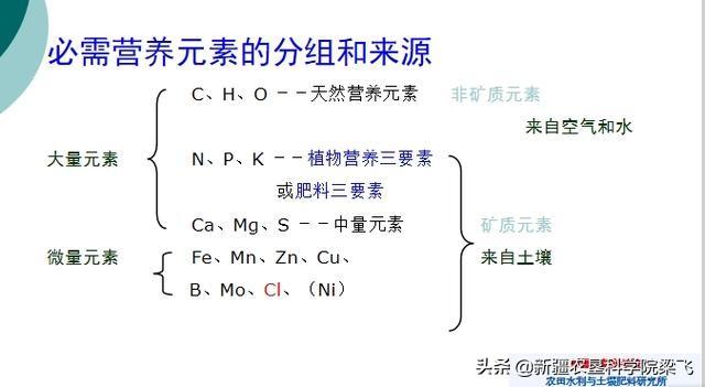 锌在玉米中的作用，如何在滴灌玉米中科学施用锌