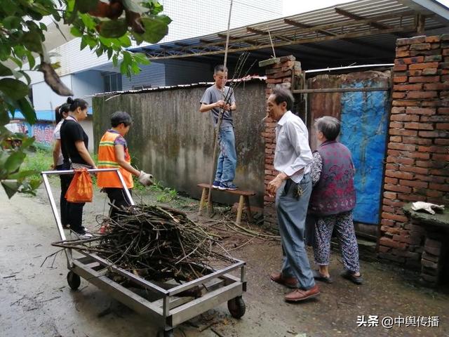 清理枯枝排除隐患