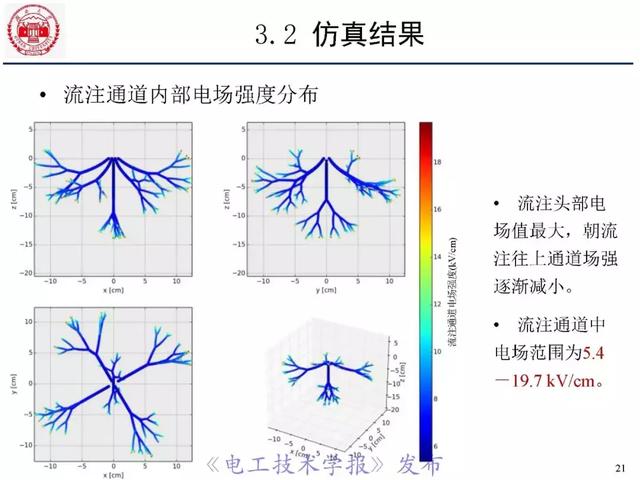 青年學者報告｜湖南大學陳赦：空氣間隙流注分支特性及三維模型