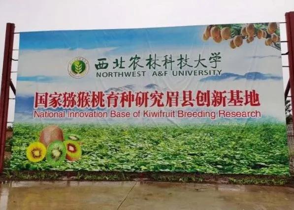 楊凌農(nóng)科，見證小康足跡——2020走出楊凌看示范活動圓滿收官