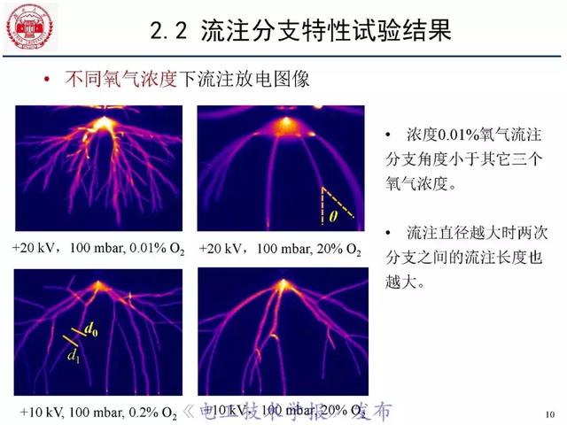 青年学者报告｜湖南大学陈赦：空气间隙流注分支特性及三维模型